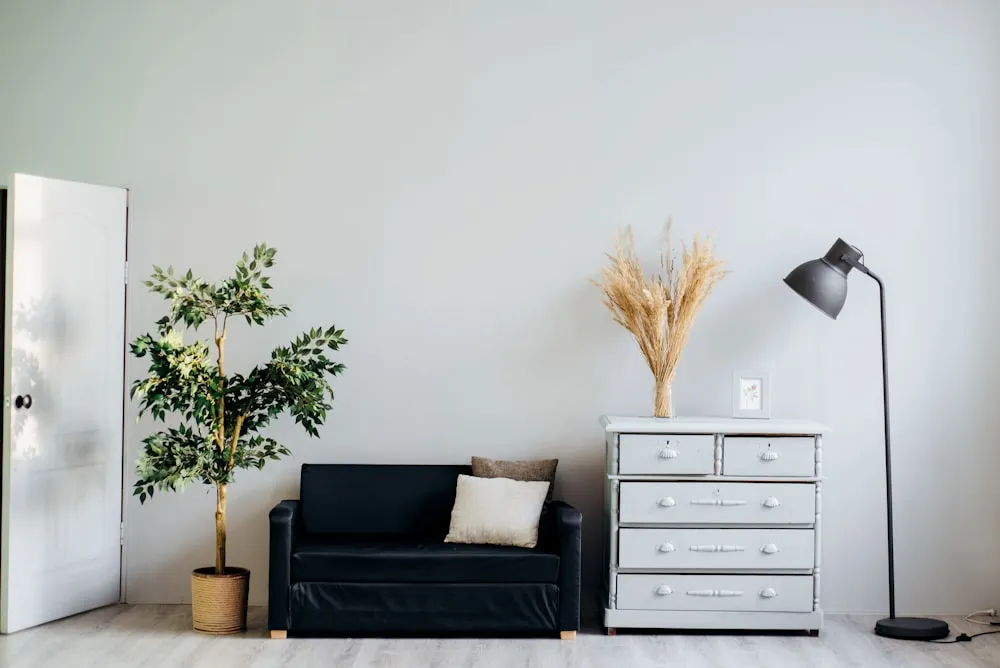 Pared clara con molduras en una vivienda, imagen de referencia